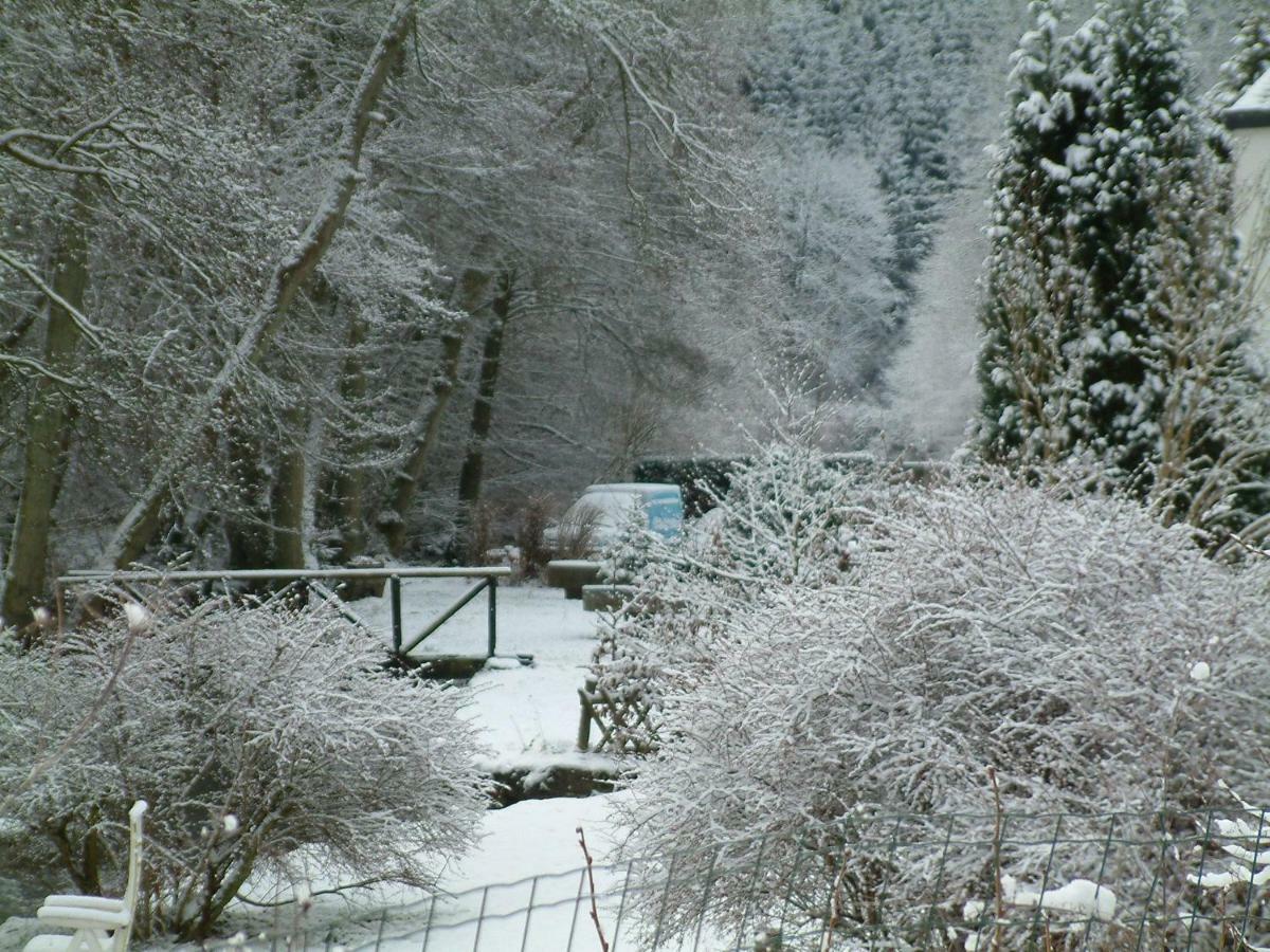 Grande Strument La-Roche-en-Ardenne Exteriér fotografie